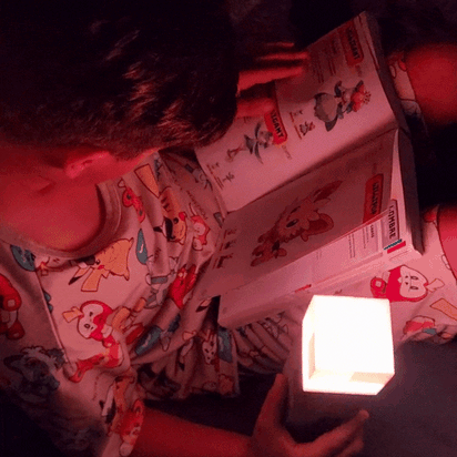 EnderLite™ - Minecraft Inspired Torch Lamp