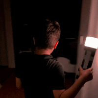 EnderLite™ - Minecraft Inspired Torch Lamp